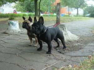 Прикачена снимка