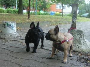 Прикачена снимка