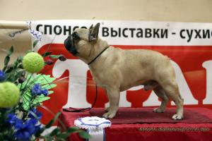 Прикачена снимка
