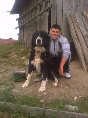Прикачена снимка