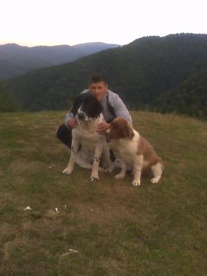 Прикачена снимка