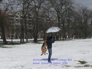 Прикачена снимка