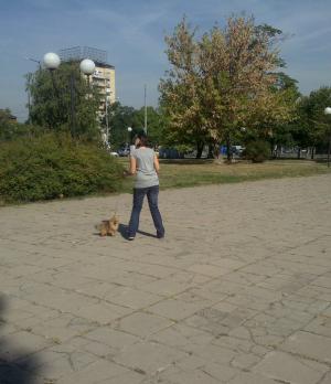 Прикачена снимка