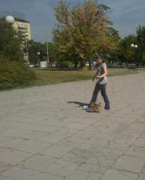 Прикачена снимка