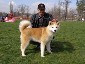 Прикачена снимка