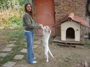 Прикачена снимка