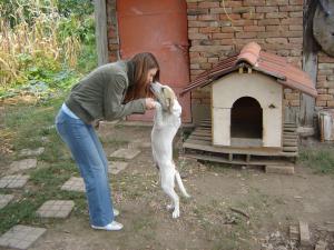 Прикачена снимка