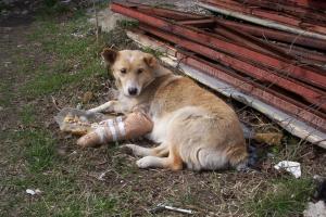 Прикачена снимка