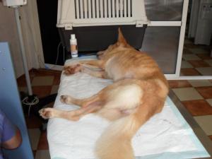 Прикачена снимка