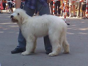 Прикачена снимка