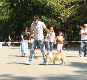 Прикачена снимка
