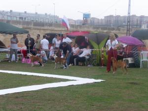 Прикачена снимка