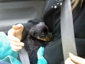 Прикачена снимка