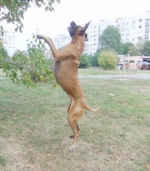 Прикачена снимка