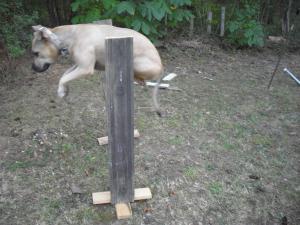 Прикачена снимка