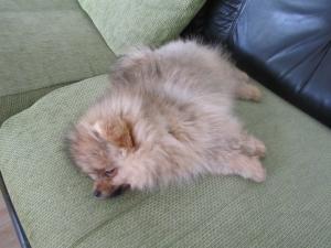 Прикачена снимка