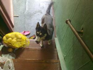 Прикачена снимка