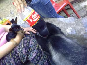 Прикачена снимка