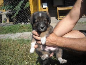 Прикачена снимка