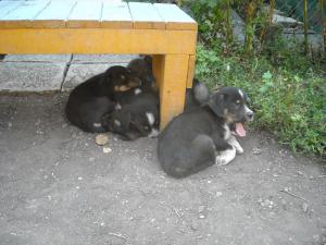 Прикачена снимка