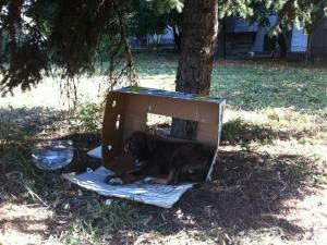 Прикачена снимка