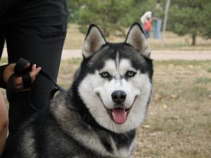Прикачена снимка