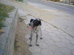 Прикачена снимка