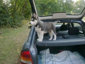 Прикачена снимка