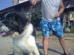 Прикачена снимка