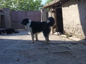 Прикачена снимка