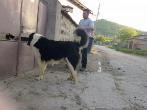Прикачена снимка