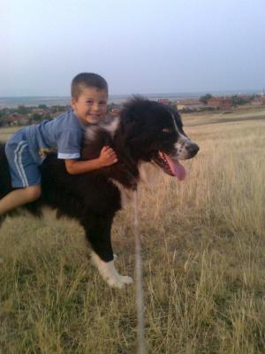 Прикачена снимка