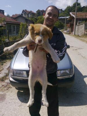 Прикачена снимка