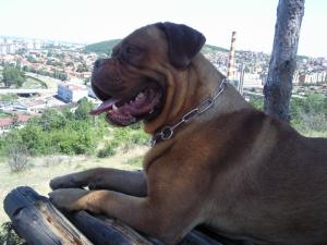 Прикачена снимка
