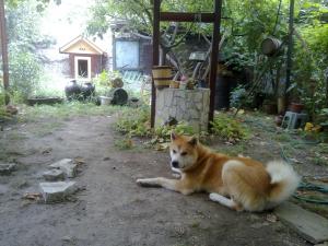 Прикачена снимка