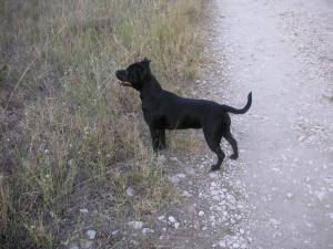 Прикачена снимка