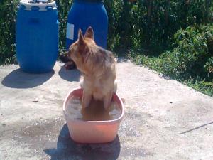 Прикачена снимка