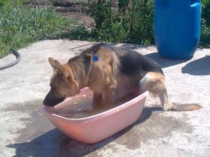 Прикачена снимка