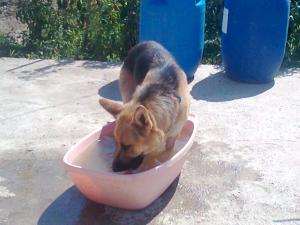 Прикачена снимка