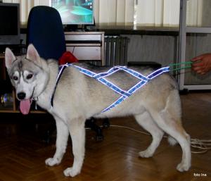 Прикачена снимка