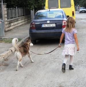 Прикачена снимка