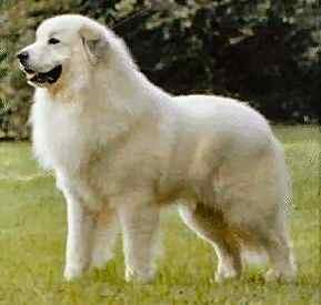 Прикачена снимка