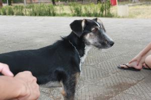 Прикачена снимка