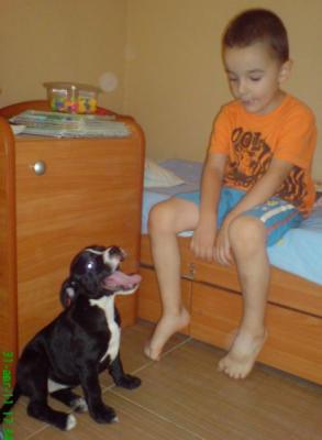 Прикачена снимка