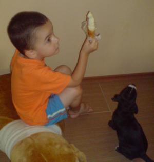 Прикачена снимка