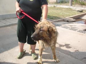 Прикачена снимка