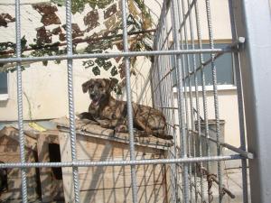 Прикачена снимка