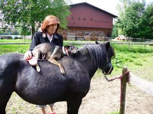 Прикачена снимка