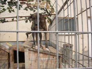 Прикачена снимка