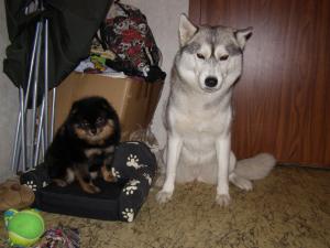Прикачена снимка